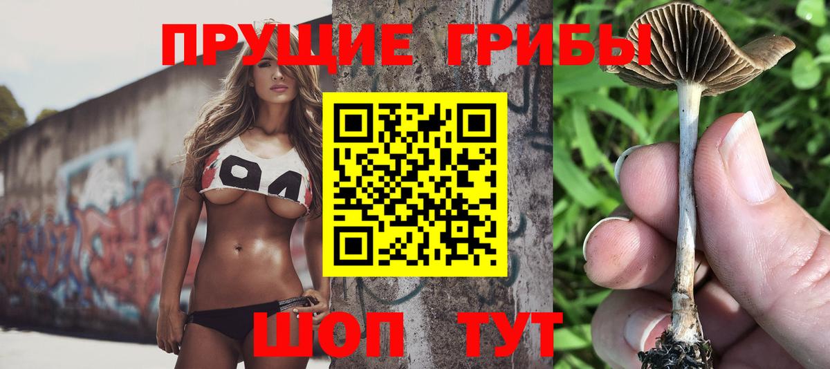 Псилоцибиновые грибы Psilocybe  Вход с VPN  Серов  Псилоцибиновые грибы прущие грибы 